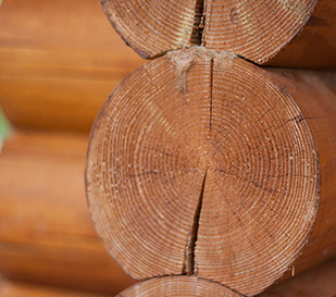 Self Catering Log Cabin Holidays In Northumberland